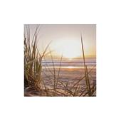 Art for the Home Zonsondergang Duinen Buitencanvas 50x50 cm