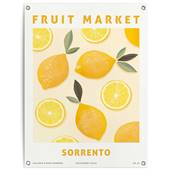 Reinders - Lemons - Tuinposter 80x60cm