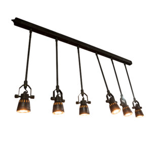 Spider Hanglamp zwart